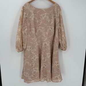 Eliza J Bateau Neck Lace Fit & Flare Knee Length Dress Pink Plus Women 24W